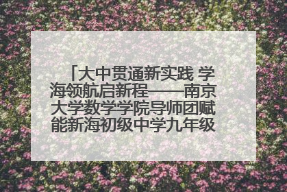 大中贯通新实践 学海领航启新程——南京大学数学学院导师团赋能新海初级中学九年级学子生涯规划
