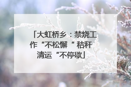 大虹桥乡：禁烧工作“不松懈“ 秸秆清运“不停歇