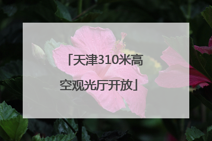 天津310米高空观光厅开放