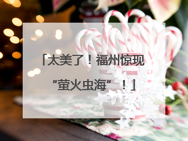 太美了！福州惊现“萤火虫海”！