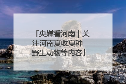 央媒看河南｜关注河南夏收夏种 野生动物等内容