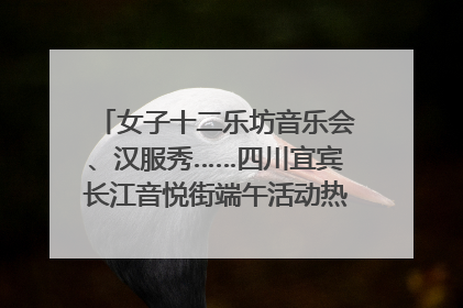 女子十二乐坊音乐会、汉服秀……四川宜宾长江音悦街端午活动热闹上演｜图集