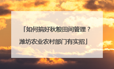 如何搞好秋粮田间管理？潍坊农业农村部门有实招