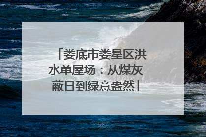 娄底市娄星区洪水单屋场：从煤灰蔽日到绿意盎然