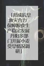 形成抗旱救灾合力 保障粮食生产稳定发展 丹阳多部门开展小麦受旱情况调研
