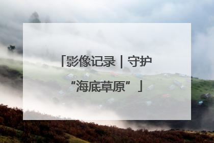 影像记录｜守护“海底草原”