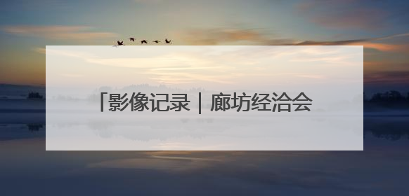 影像记录｜廊坊经洽会，现代商贸物流风向标