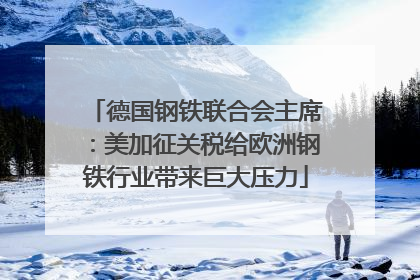 德国钢铁联合会主席：美加征关税给欧洲钢铁行业带来巨大压力