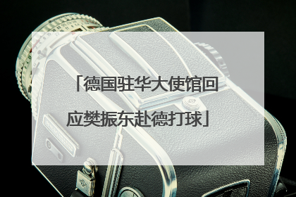德国驻华大使馆回应樊振东赴德打球