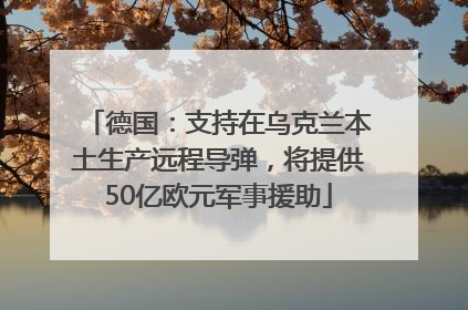 德国：支持在乌克兰本土生产远程导弹，将提供50亿欧元军事援助