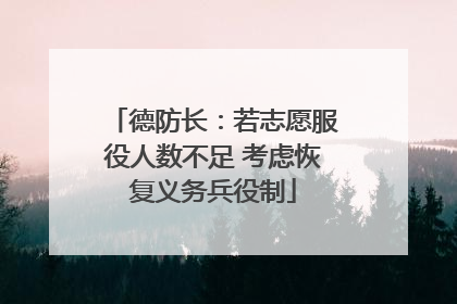 德防长：若志愿服役人数不足 考虑恢复义务兵役制