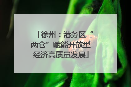徐州：港务区“两仓”赋能开放型经济高质量发展