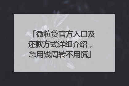 微粒贷官方入口及还款方式详细介绍，急用钱周转不用慌