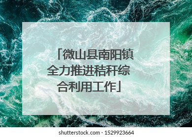 微山县南阳镇全力推进秸秆综合利用工作
