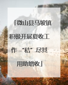 微山县马坡镇积极开展夏收工作 “秸”尽其用助增收