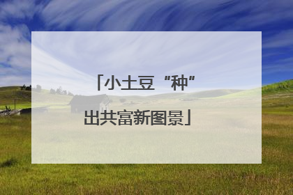 小土豆“种”出共富新图景