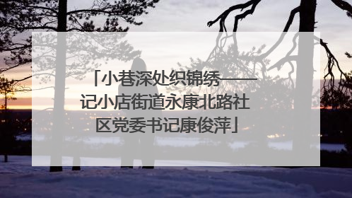 小巷深处织锦绣——记小店街道永康北路社区党委书记康俊萍