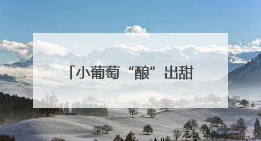 小葡萄“酿”出甜美生活（积极发展乡村富民产业）