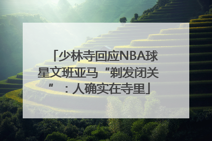 少林寺回应NBA球星文班亚马“剃发闭关”：人确实在寺里