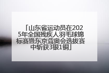 山东省运动员在2025年全国残疾人羽毛球锦标赛暨东京聋奥会选拔赛中斩获3银1铜