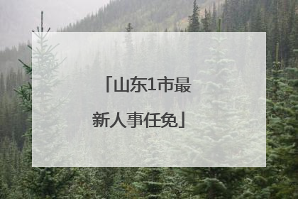 山东1市最新人事任免