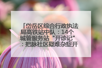 岱岳区综合行政执法局高铁站中队：14个城管服务站“开诊记”：把脉社区疑难杂症开出治理良方