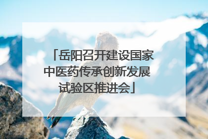岳阳召开建设国家中医药传承创新发展试验区推进会