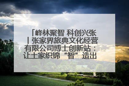峰林聚智 科创兴张丨张家界旅典文化经营有限公司博士创新站：让土家织锦“智”造出非遗新传奇