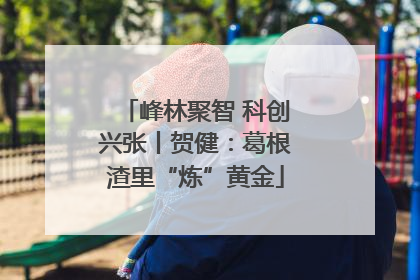 峰林聚智 科创兴张丨贺健：葛根渣里“炼”黄金