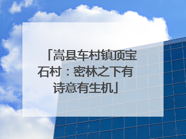 嵩县车村镇顶宝石村：密林之下有诗意有生机