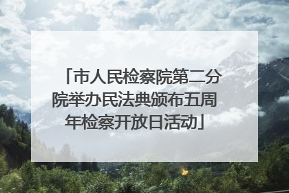 市人民检察院第二分院举办民法典颁布五周年检察开放日活动