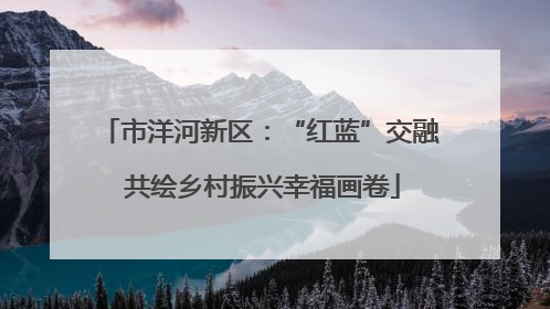 市洋河新区：“红蓝”交融 共绘乡村振兴幸福画卷