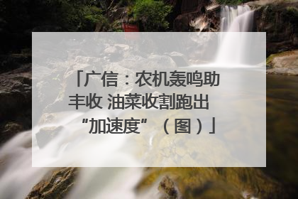 广信：农机轰鸣助丰收 油菜收割跑出“加速度”（图）