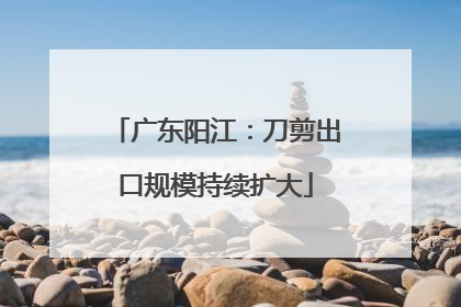 广东阳江：刀剪出口规模持续扩大