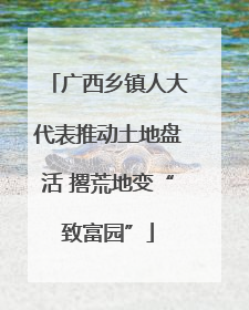 广西乡镇人大代表推动土地盘活 撂荒地变“致富园”