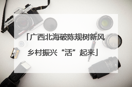 广西北海破陈规树新风 乡村振兴“活”起来