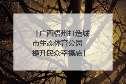 广西梧州打造城市生态体育公园 提升民众幸福感