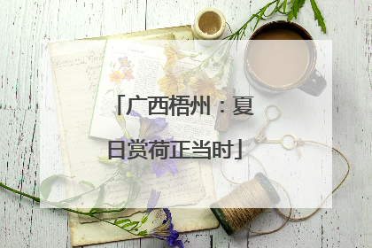 广西梧州：夏日赏荷正当时