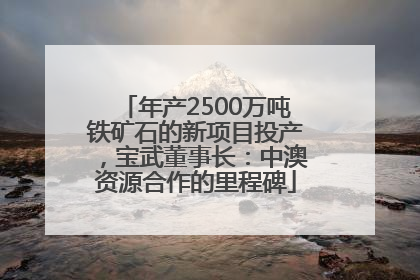 年产2500万吨铁矿石的新项目投产，宝武董事长：中澳资源合作的里程碑