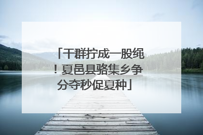 干群拧成一股绳！夏邑县骆集乡争分夺秒促夏种