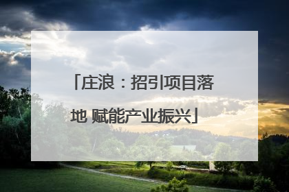 庄浪：招引项目落地 赋能产业振兴