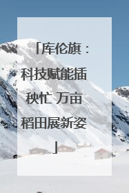 库伦旗：科技赋能插秧忙 万亩稻田展新姿