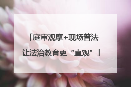 庭审观摩+现场普法 让法治教育更“直观”