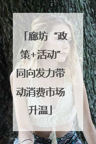 廊坊“政策+活动”同向发力带动消费市场升温