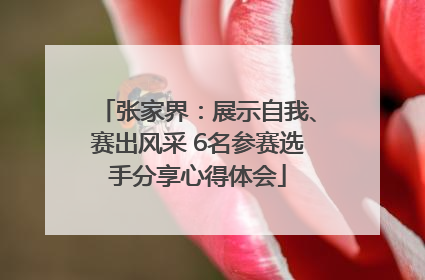张家界：展示自我、赛出风采 6名参赛选手分享心得体会