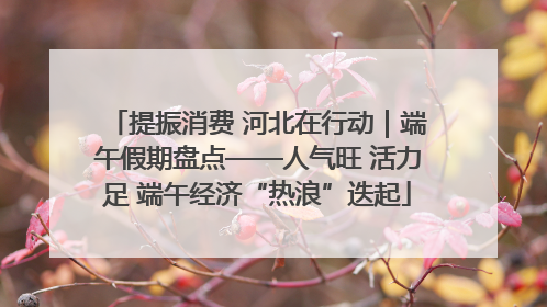 提振消费 河北在行动｜端午假期盘点——人气旺 活力足 端午经济“热浪”迭起