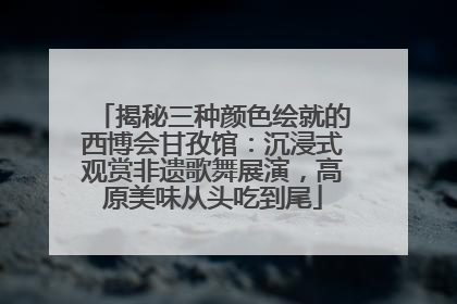 揭秘三种颜色绘就的西博会甘孜馆：沉浸式观赏非遗歌舞展演，高原美味从头吃到尾