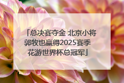总决赛夺金 北京小将郭牧也赢得2025赛季花游世界杯总冠军