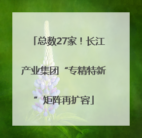 总数27家！长江产业集团“专精特新”矩阵再扩容