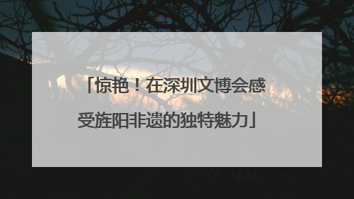 惊艳！在深圳文博会感受旌阳非遗的独特魅力